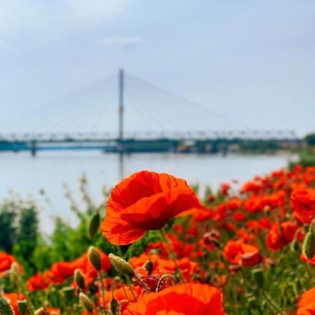 Amira Apartman Komárno Екстериор снимка